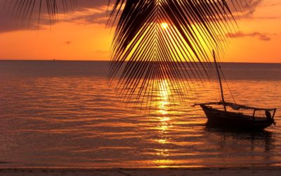 Zanzibar: safari avventurosi e spiagge da sogno