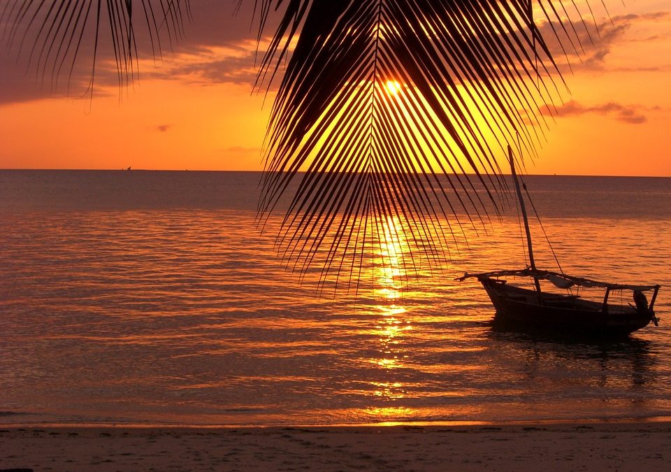 Zanzibar: safari avventurosi e spiagge da sogno
