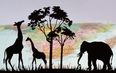 Alla scoperta degli animali della savana