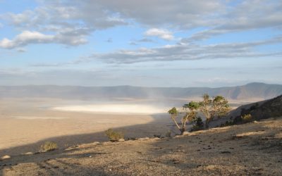 Un safari nel cratere di Ngorongoro