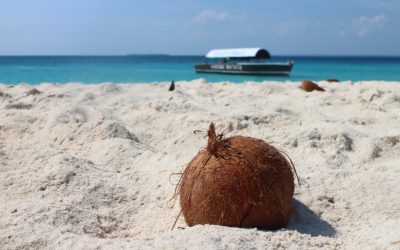 Arcipelago di Zanzibar: le isole