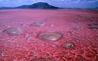 Il mistero del lago Natron