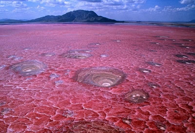 Il mistero del lago Natron