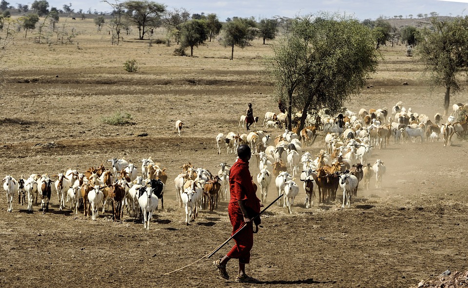 Parchi della Tanzania