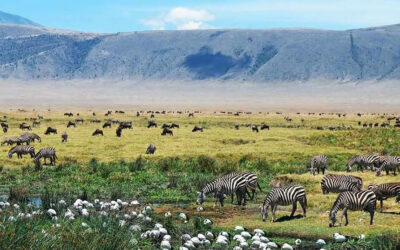 10 cose sorprendenti sul cratere di Ngorongoro
