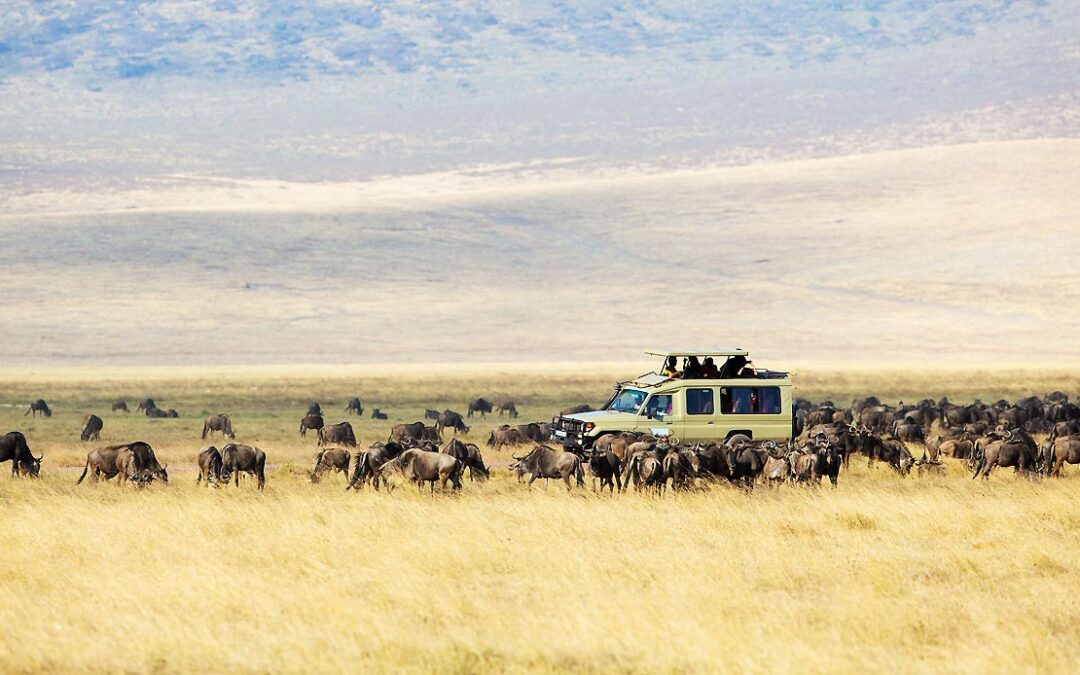 Quanto costa un safari in Tanzania?