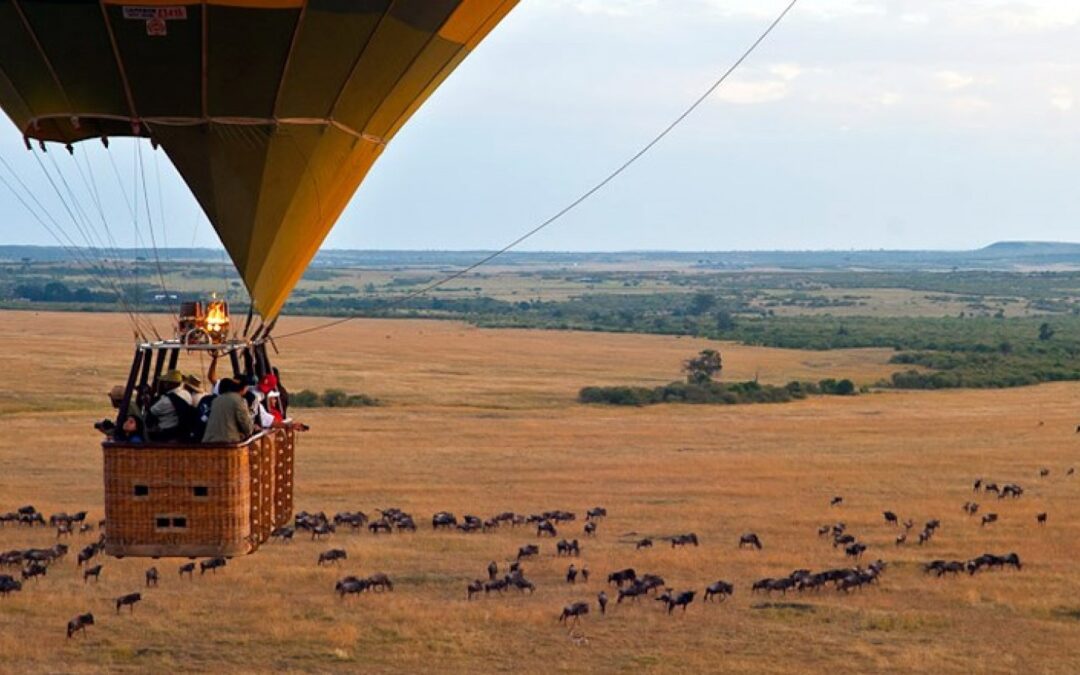 Safari in Mongolfiera