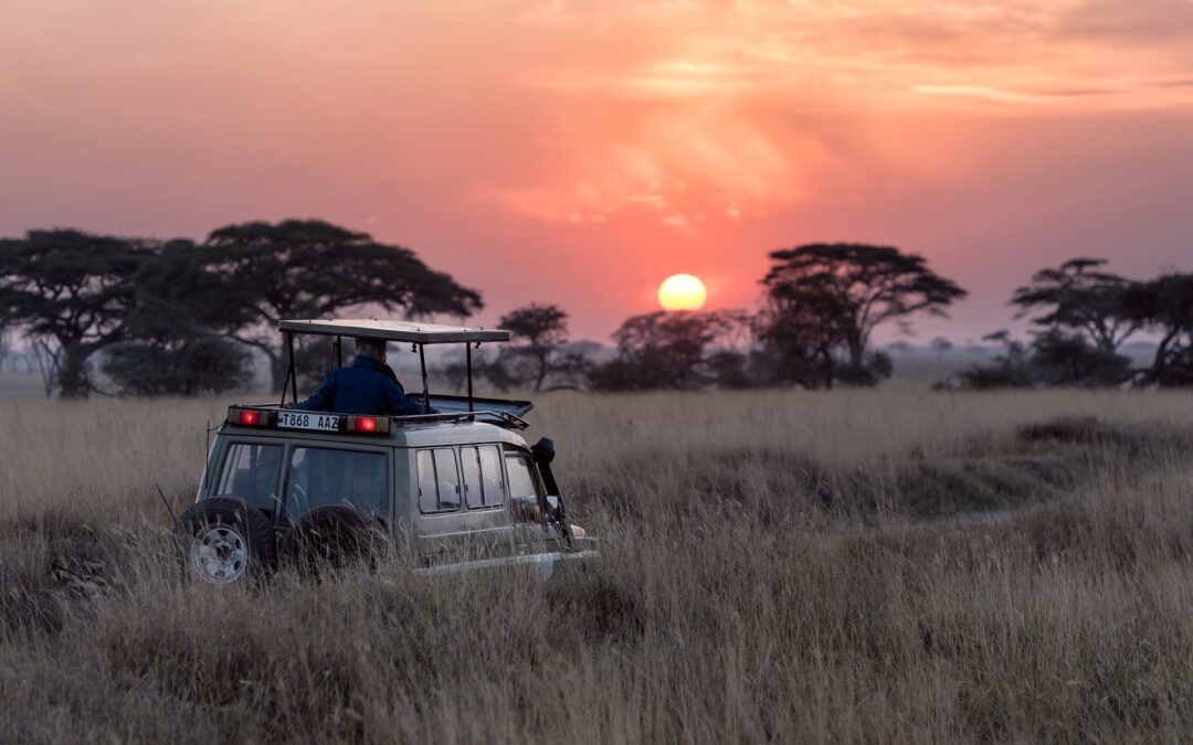 safari in tanzania cosa portare
