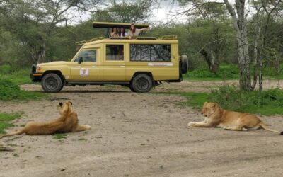  Cosa aspettarsi da un Safari in Tanzania