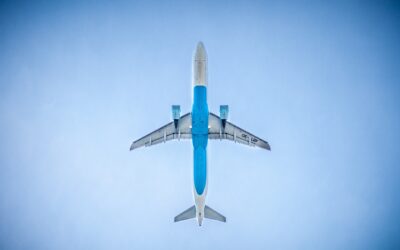 5 cose da sapere prima di prenotare un safari