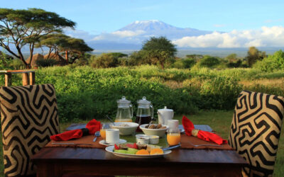 Cosa si mangia durante un safari