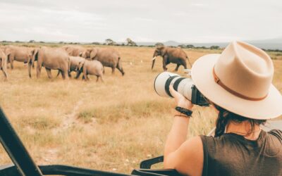3 motivi per un safari in Africa