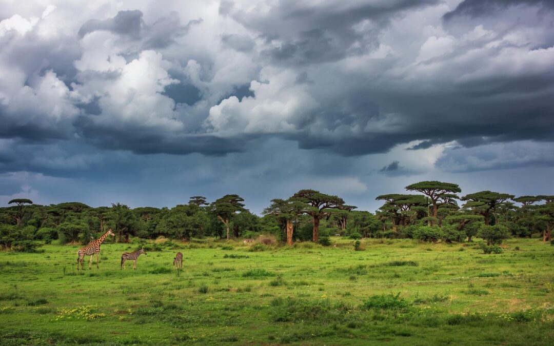 safari durante la stagione delle piogge