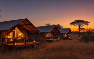 Lodge o campo tendato safari