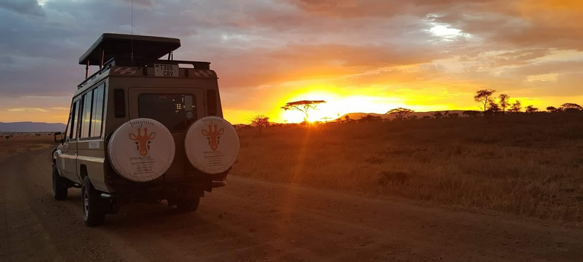 Tour operator in Tanzania Jackson sul fuoristrada