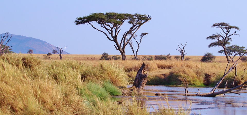 Come prepararsi a un safari in Tanzania