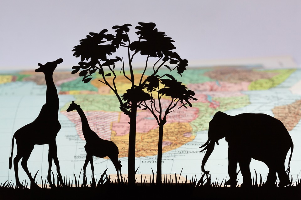 Alla scoperta degli animali della savana