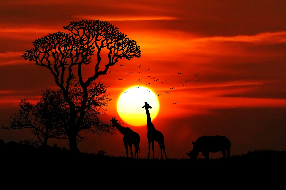Le mete più gettonate per un safari in Tanzania