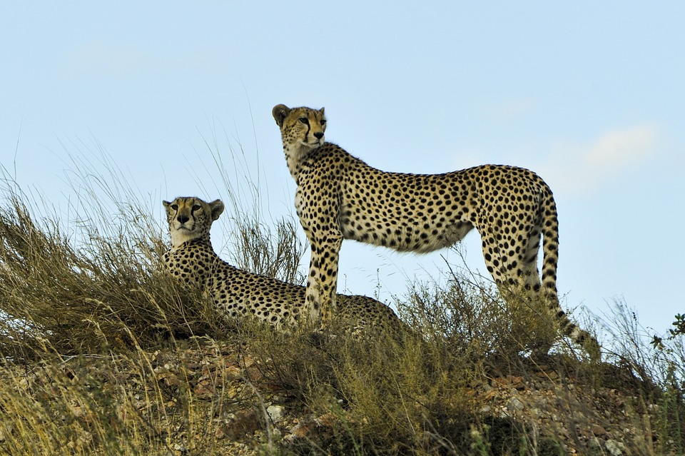 I periodi migliori per andare in Tanzania
