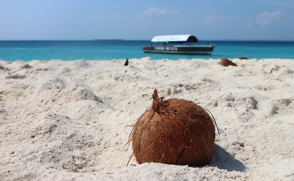 Arcipelago di Zanzibar: le isole