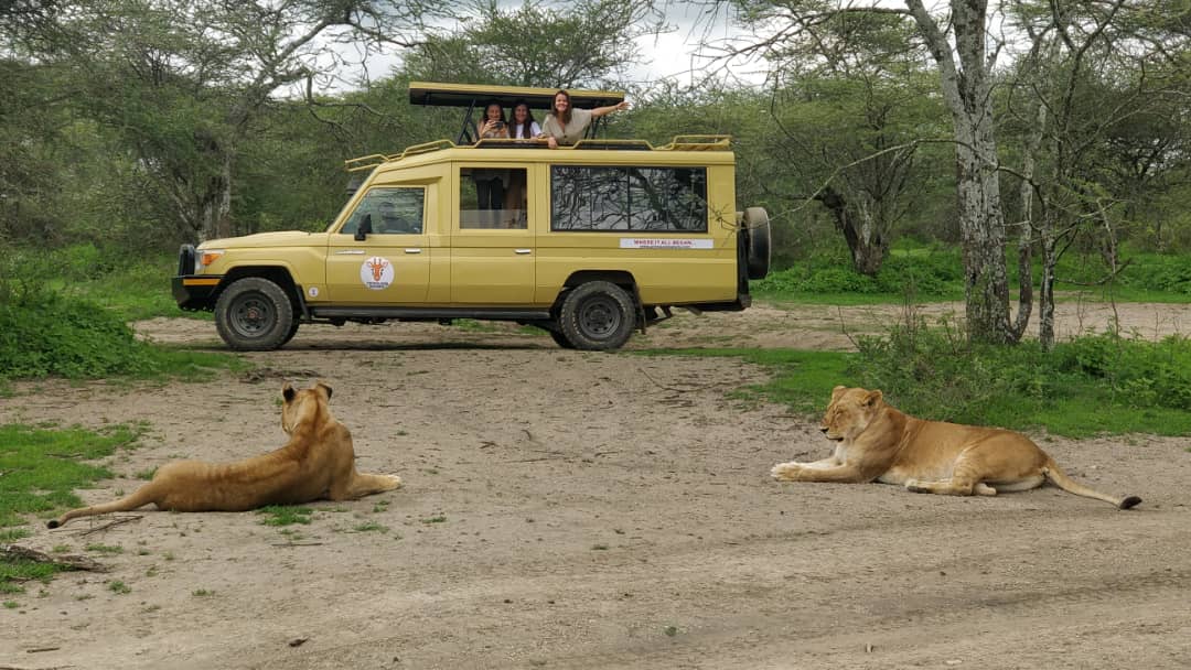 Fuoristrada Safari