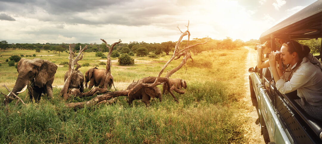 Perché la Tanzania è la migliore destinazione per i safari in Africa?