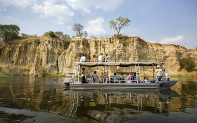 Safari in barca: un’avventura indimenticabile