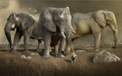 Come pianificare un safari sostenibile e responsabile