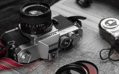 Tecniche di fotografia nel safari: consigli per principianti