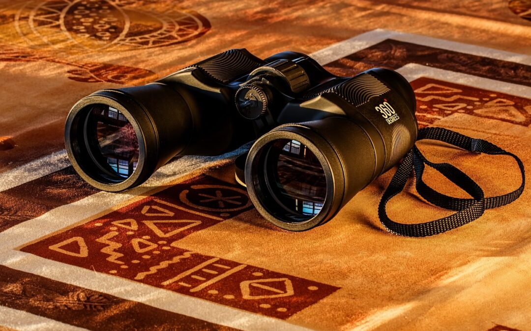 Scegliere il miglior binocolo per safari: caratteristiche e consigli per l’acquisto