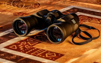 Scegliere il miglior binocolo per safari: caratteristiche e consigli per l’acquisto