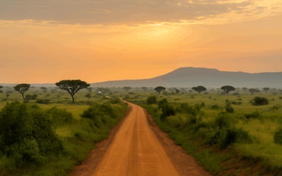 Guida al safari nel Queen Elizabeth National Park