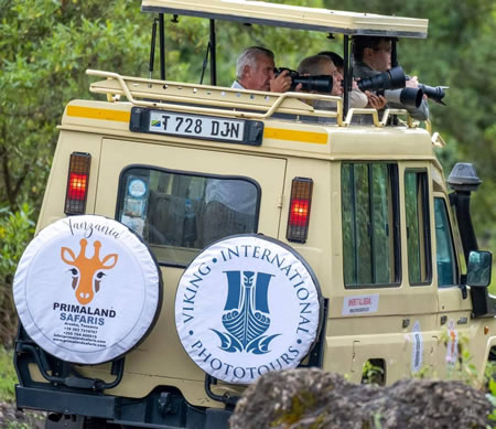 Fuoristrada Primaland Safaris