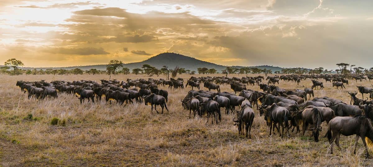 destinazioni-tanzania Paesaggio Tanzania