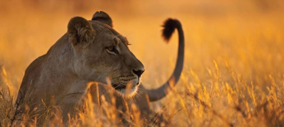 itinerari-parchi-del-sud Paesaggio Tanzania