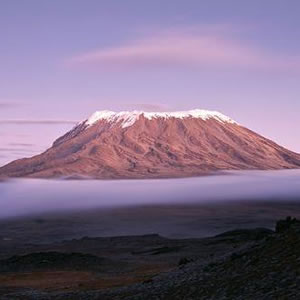 Kilimanjaro