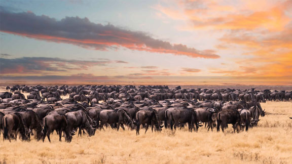 Itinerari nel Sud della Tanzania