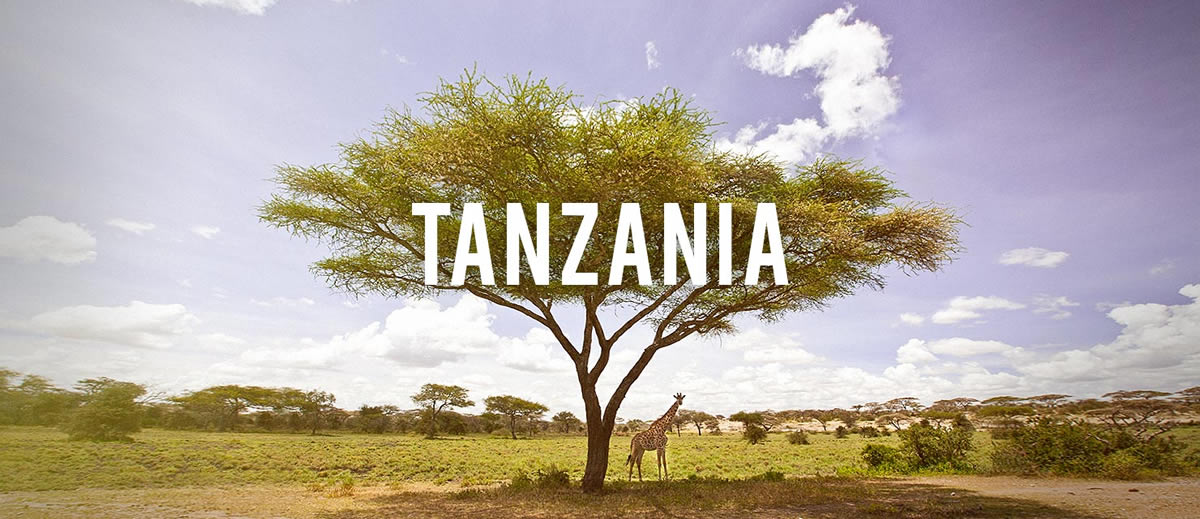 tanzania Paesaggio Tanzania