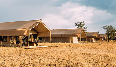 Safari in mongolfiera