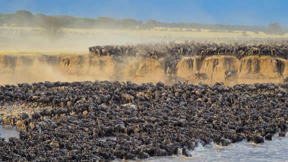 grande-migrazione-ovest Safari in mongolfiera