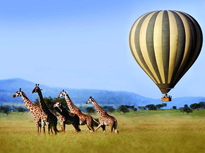 Safari in mongolfiera