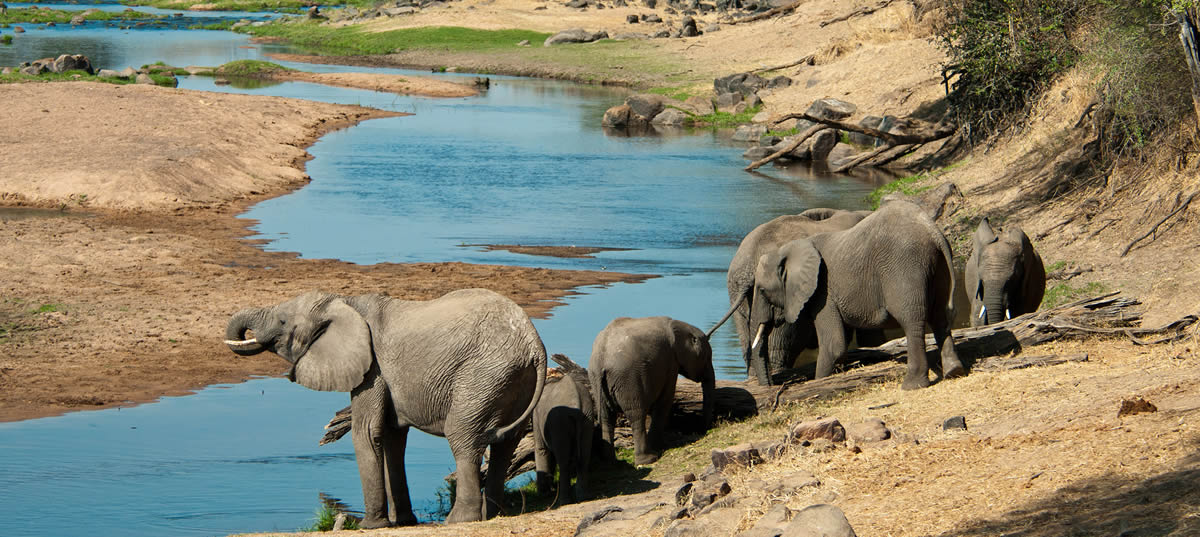 parco-tarangire Safari nel Parco Nazionale del Tarangire