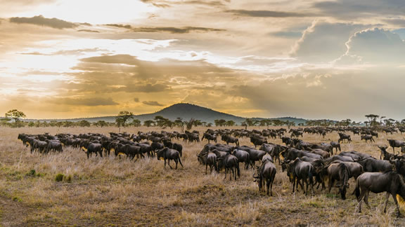 Itinerari nel Nord della Tanzania
