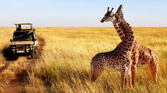 Itinerari nel Sud della Tanzania