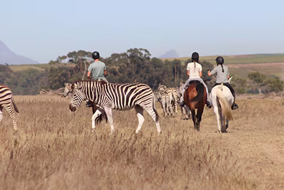 Safari in fuoristrada