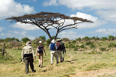 Safari a piedi