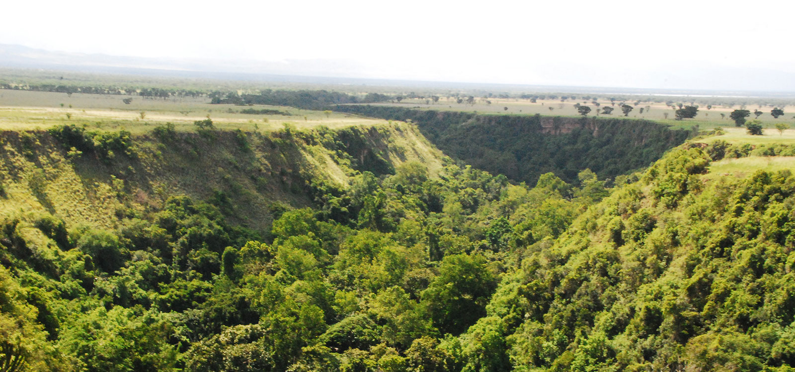 Ibanda-Kyambura Leoni nel Parco