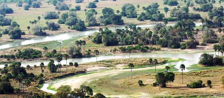 Ugalla-Game-Reserve Leoni nel Parco