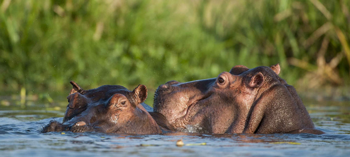 sud-tanzania Itinerari nel Nord della Tanzania