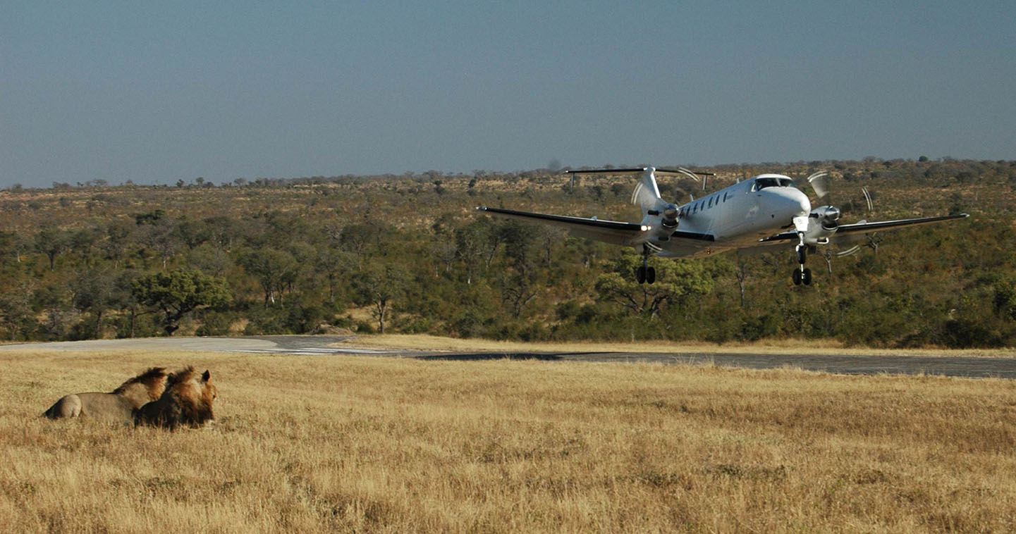 Aeroporto Seronera nel Serengeti con volo interno da Arusha